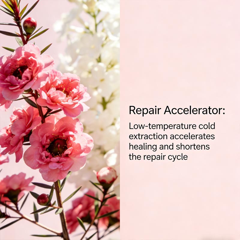 Post-operative care essential oil